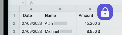Secure your spreadsheets and statements.